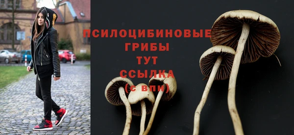 тгк Нефтегорск