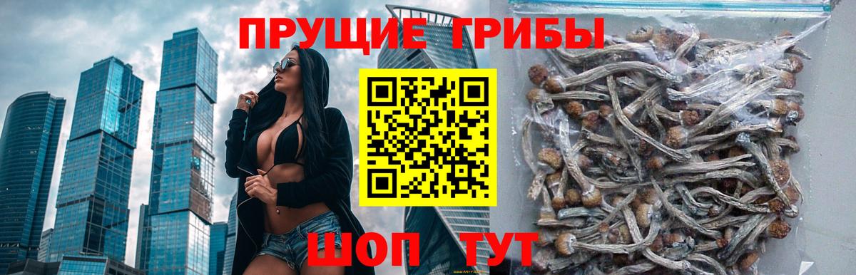 Галлюциногенные грибы GOLDEN TEACHER  Вход с VPN  Аксай 